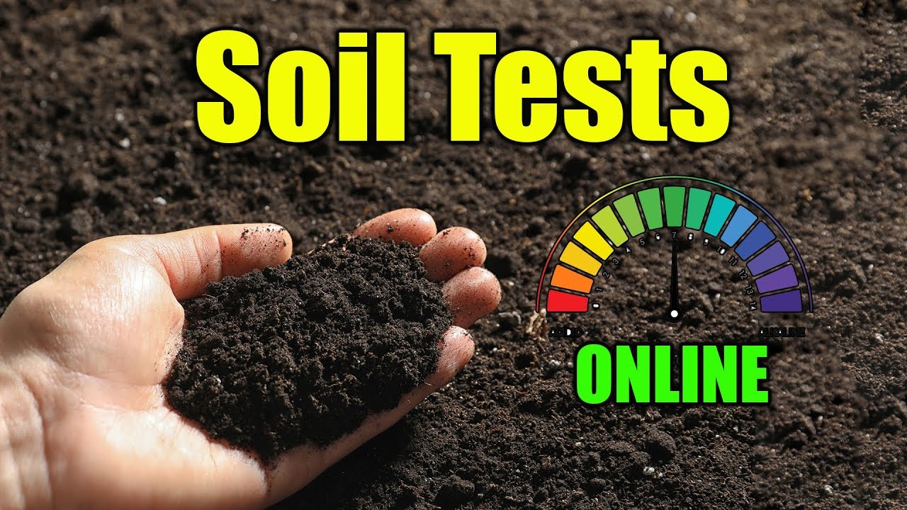 Lawn Soil Test Online