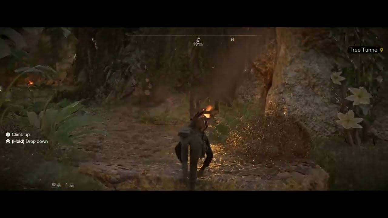 Star Wars Outlaws Treasure: Tree Tunnel (Stormhollow)