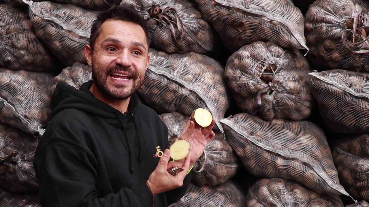 El #YoutuberDelAgro nos cuenta de variedades de papa