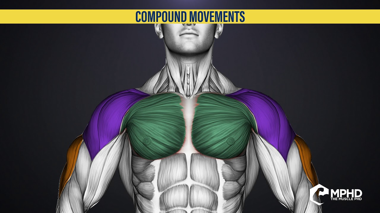 Brains to Gains: Compound Movements for the Chest