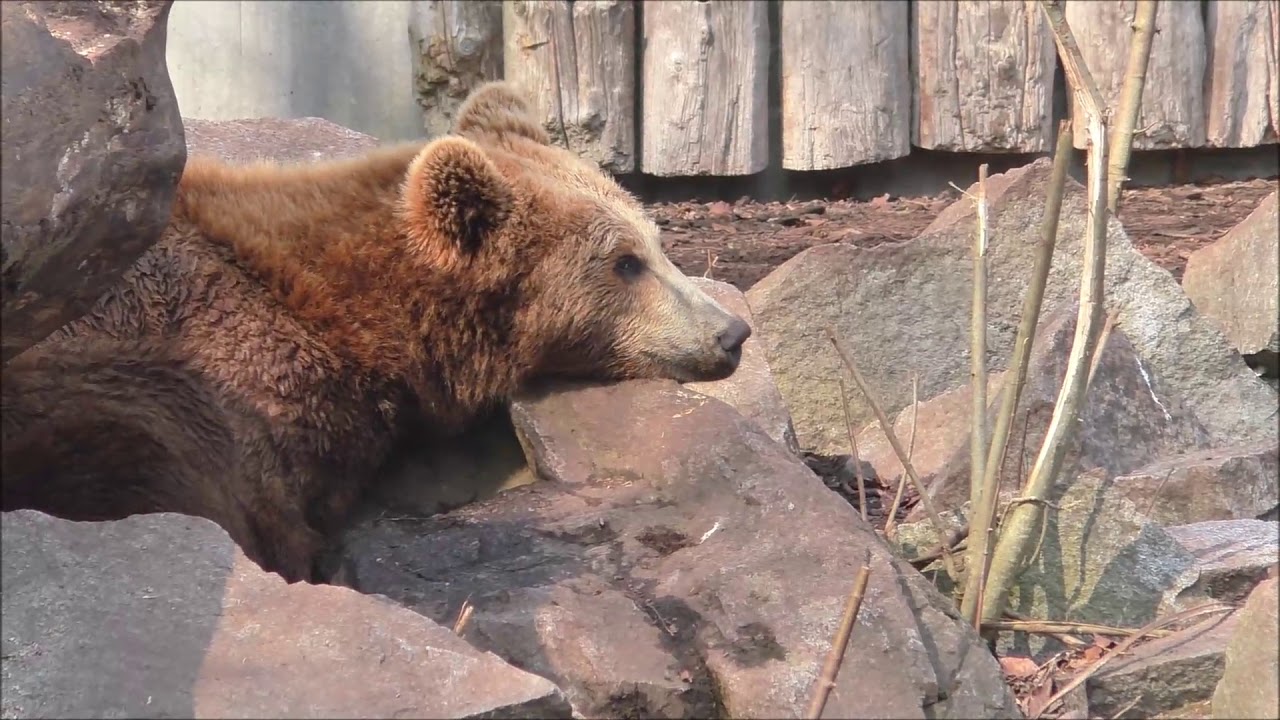 Tierpark 2019 Straubing