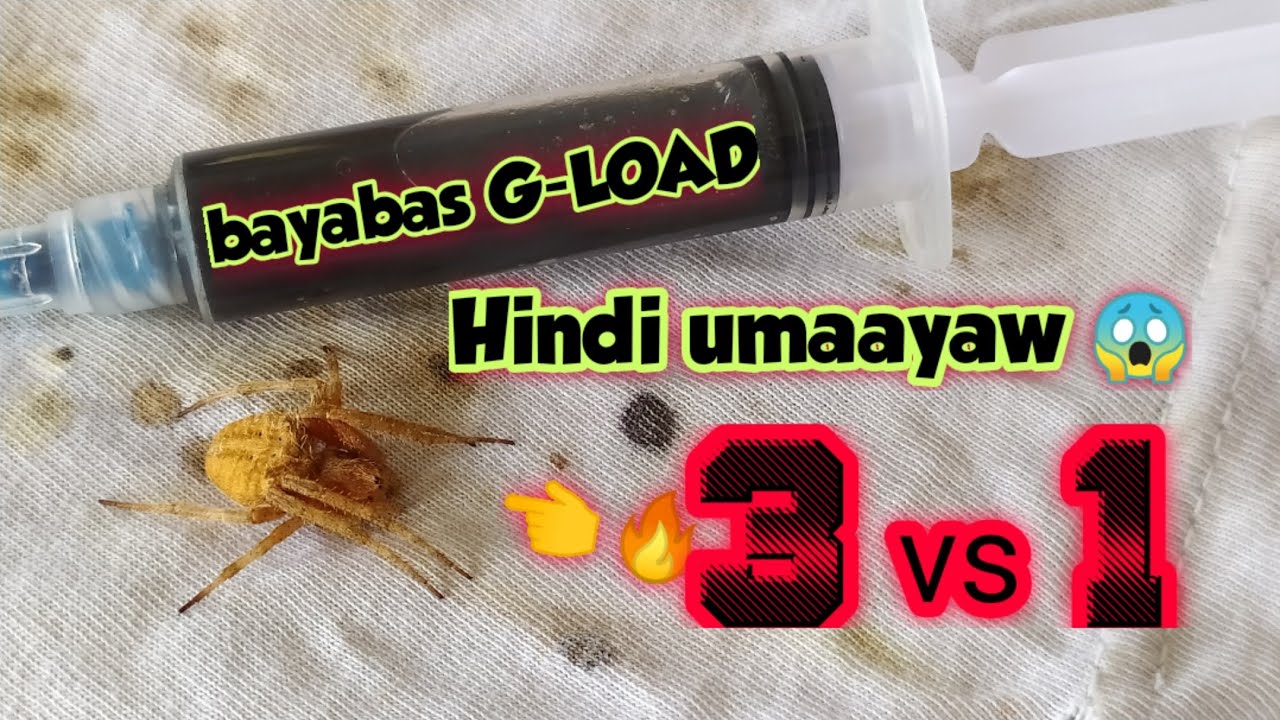 3 VS 1 with bayabas G-LOAD 😎. 3Games Spider fight.