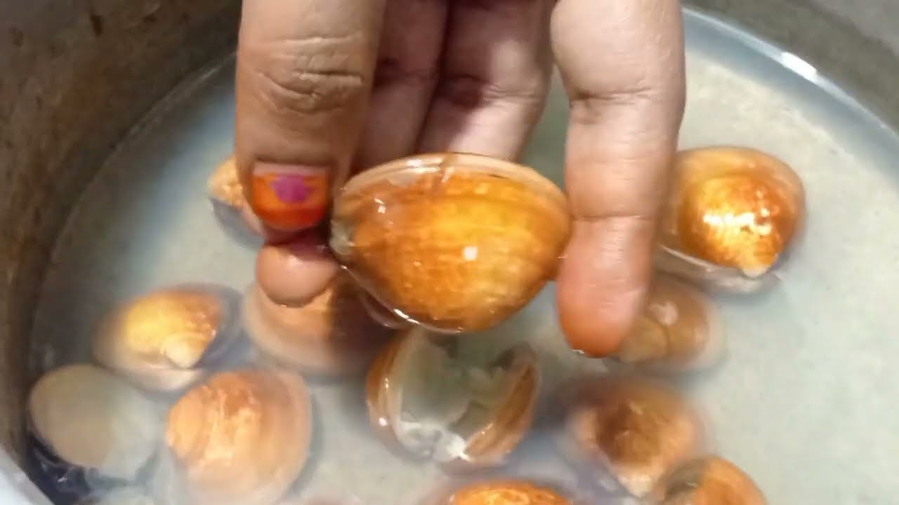 Matti kari epadi seivathu /sippi kari recipe in tamil 🌊