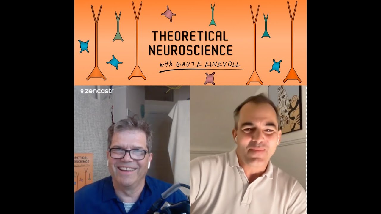Episode #30: On co-dependent excitatory and inhibitory plasticity – with Tim Vogels