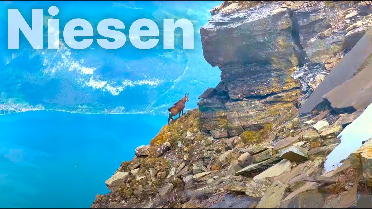 Niesen Swiss Pyramid Swiss Alps Switzerland | Walking Tour 4K HDR Dolby Vision