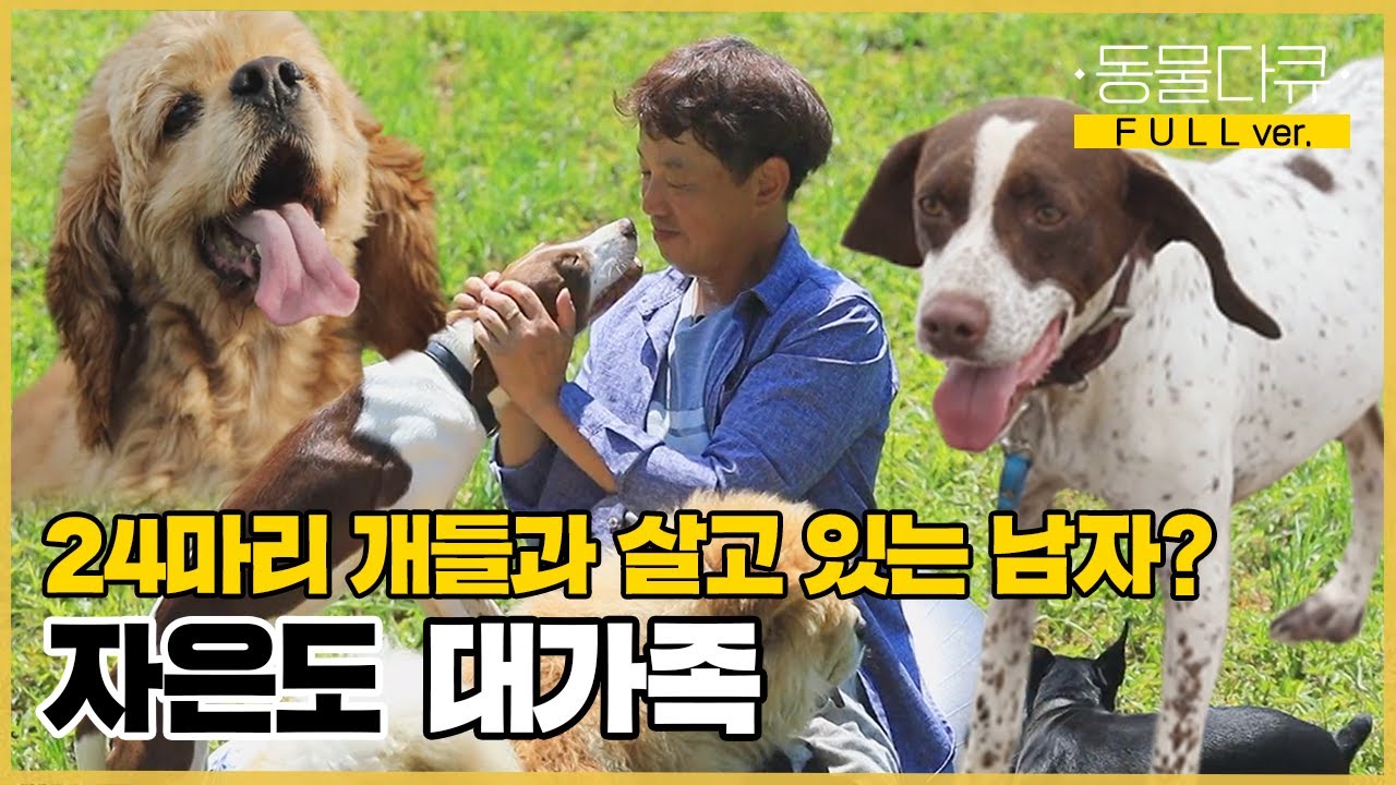 [풀버전] 한반도 최서남단 자은도에서 24마리 개들과 살고 있는 남자💥태원 씨가 대가족을 꾸리게 된 이유 | 동물극장 단짝 EP32 | KBS 220924 방송