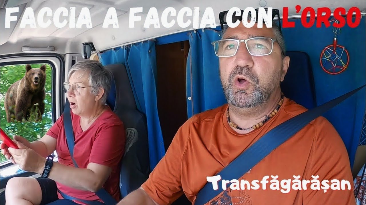 Faccia a Faccia con l’Orso Transfăgărășan.