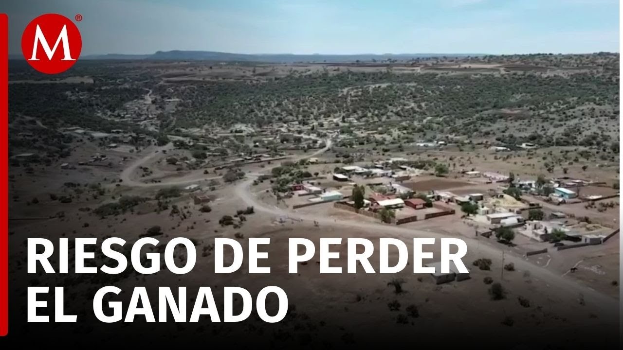 El día cero llega a la comunidad 