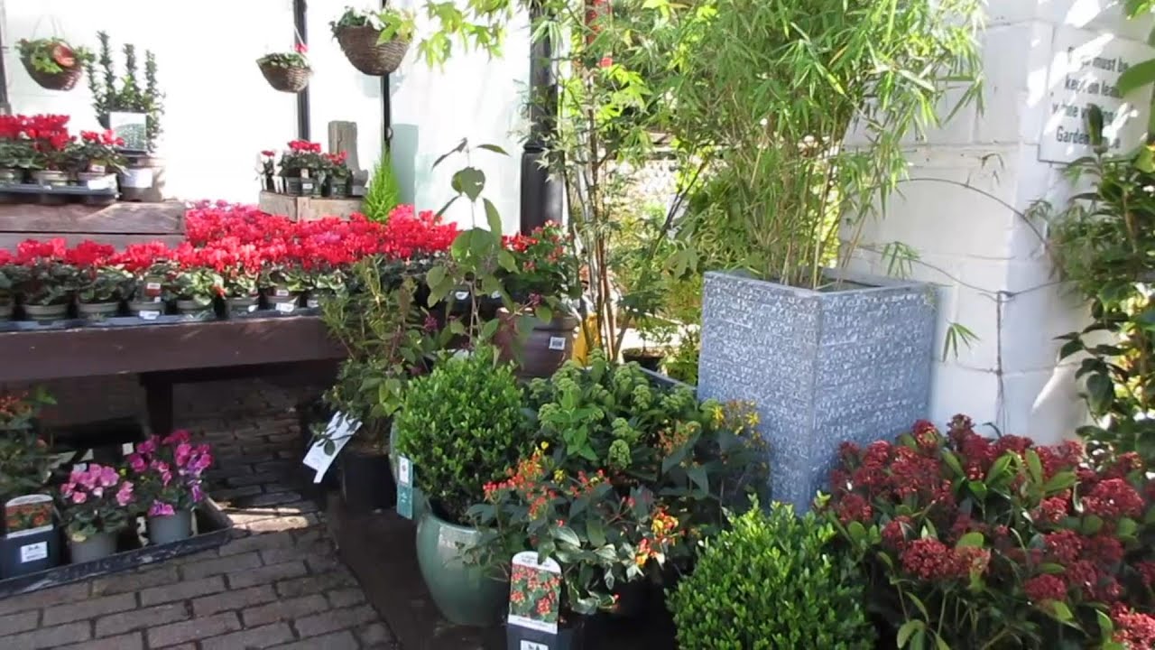 Nursery Tour UK | Plant Nursery near me | Alexandra Palace Garden Centre | Part 1