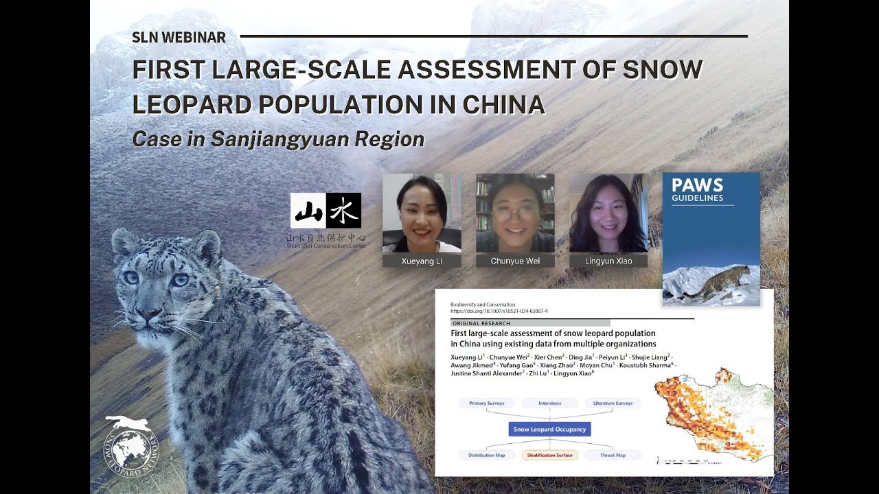 First Large-scale Assessment of Snow Leopard Population in China: Case in Sanjiangyuan Region