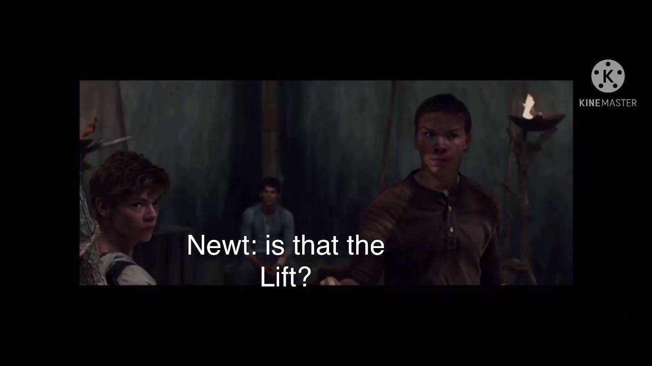 Newt and y/n 1