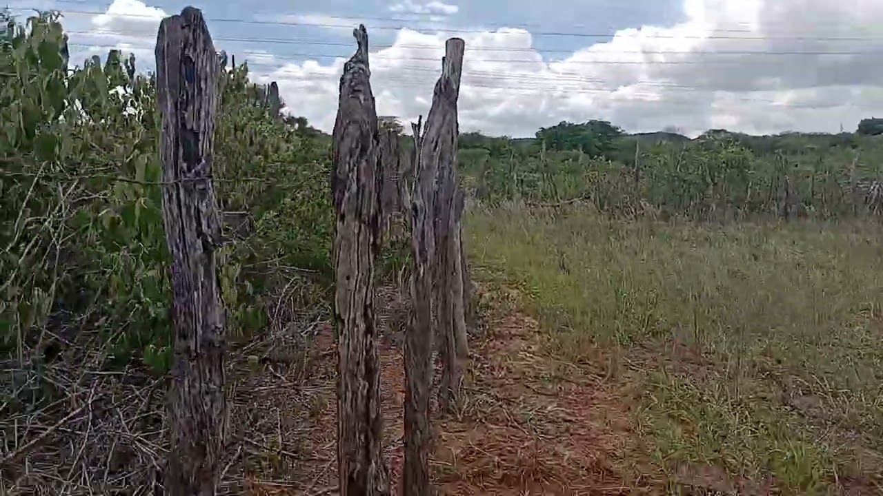 Fazendo uma gambiarra.@Devagarinhochegala