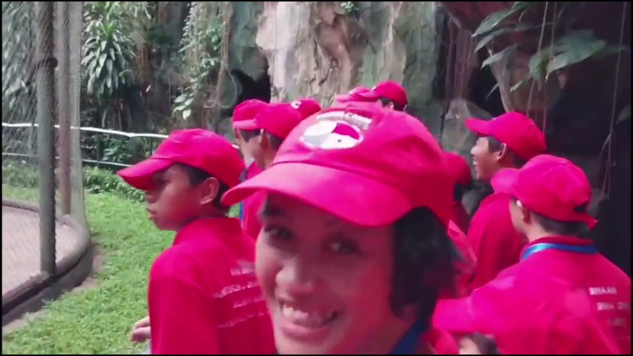 Kegiatan Acara HDI 2024 Di Taman  Margsatwa Ragunan