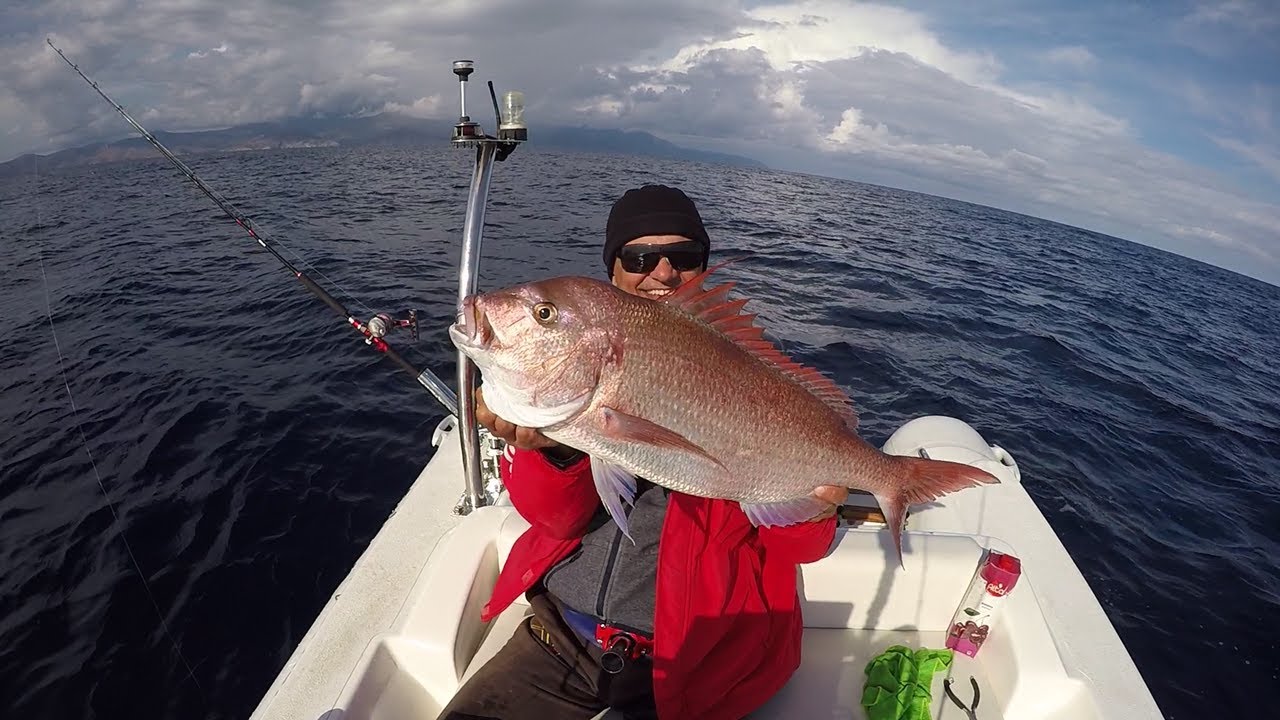 Fishing with Live Squid – Κοντοφύλακας