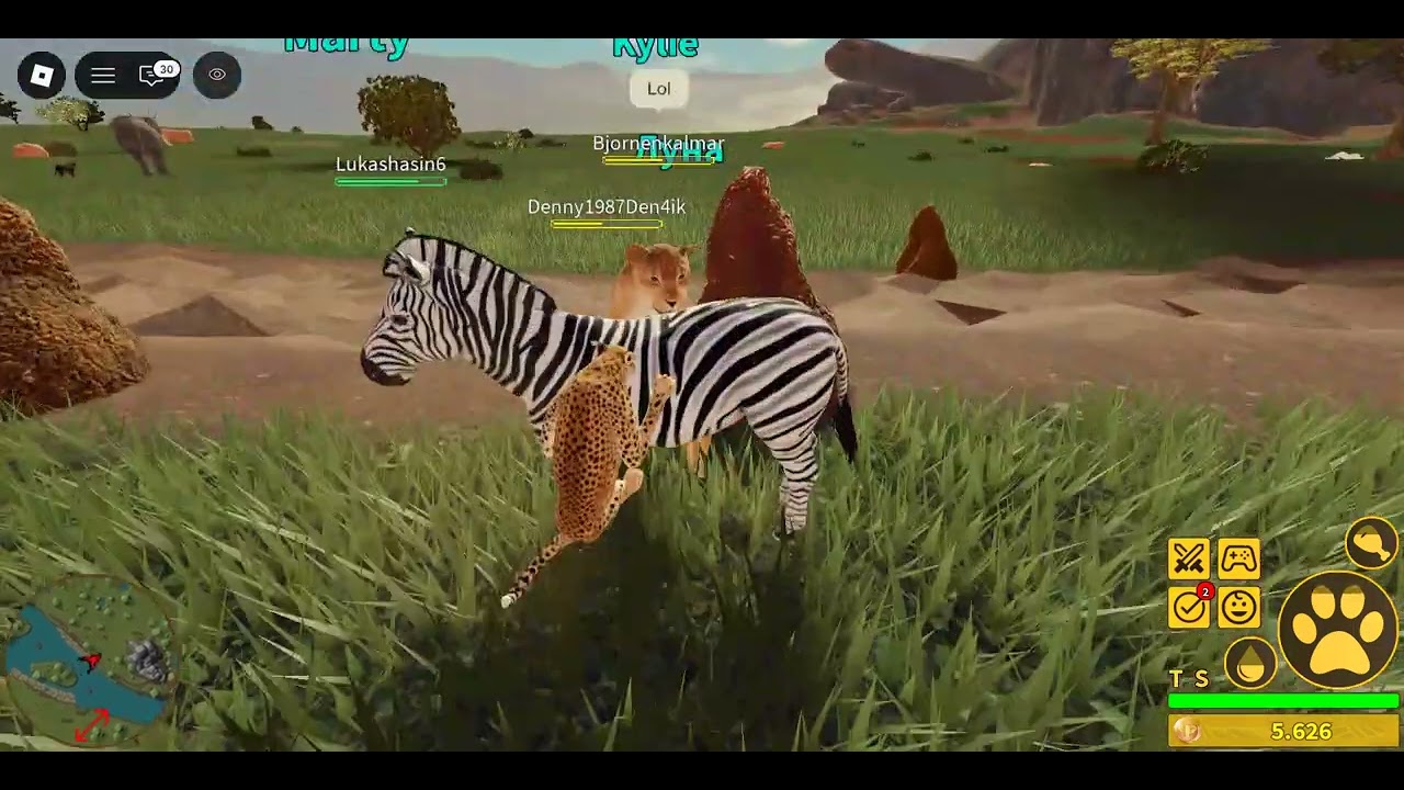 am go play lion on roblox (savana life)