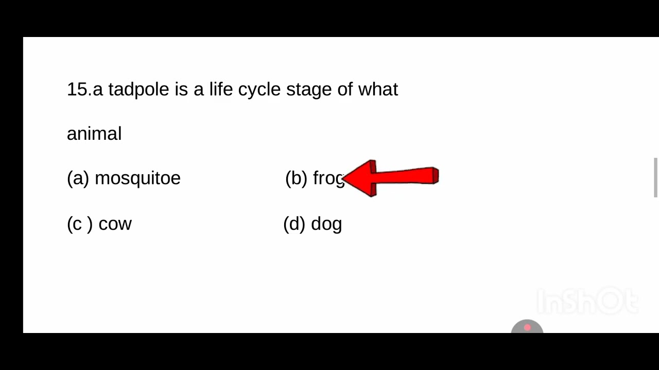 class 6 chapter, 10 living creatures :exploring their characteristics mcqs in answer 