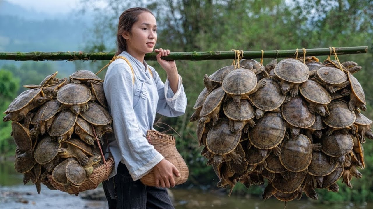 I Harvested 1000 GIANT Softshell Turtles in ONE DAY – Hardest Day Ever