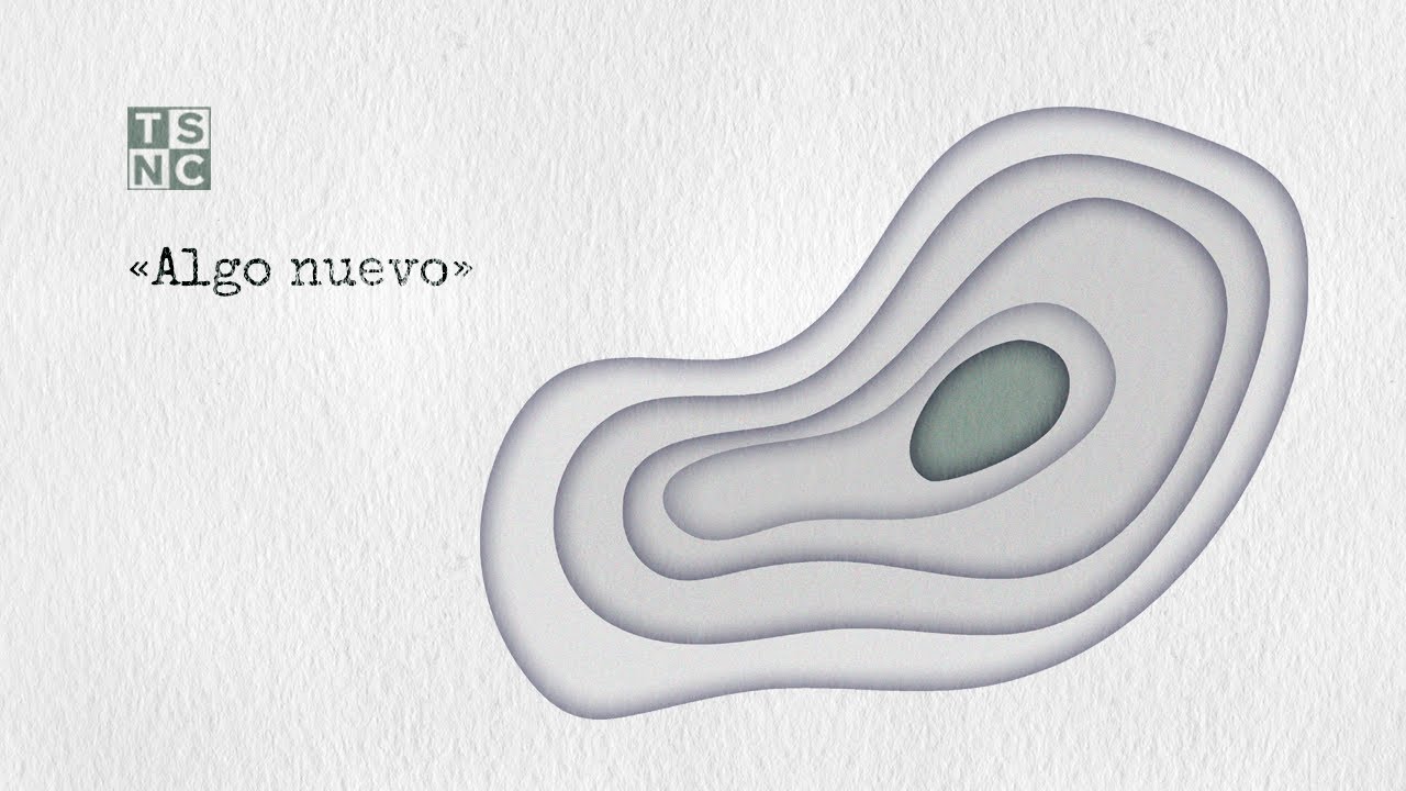 ALGO NUEVO - TSNC