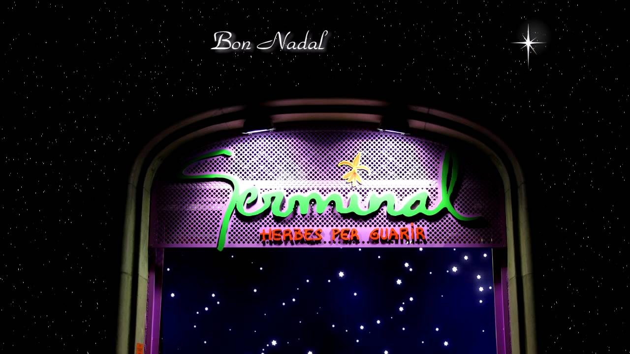 BON NADAL - GERMINAL