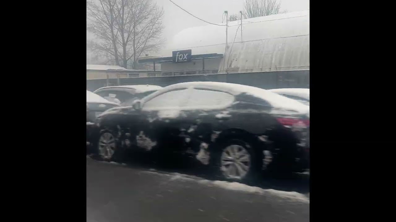 Snowy Day in Tukwila 2026 0313