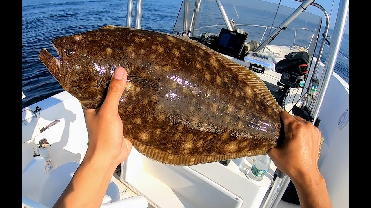 Ocean Fluke Fishing NJ 2019 - Sandy Hook Reef Flounder, Sea Bass