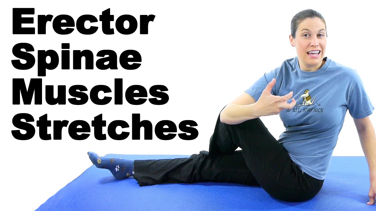 Erector Spinae Muscles Stretches - Ask Doctor Jo