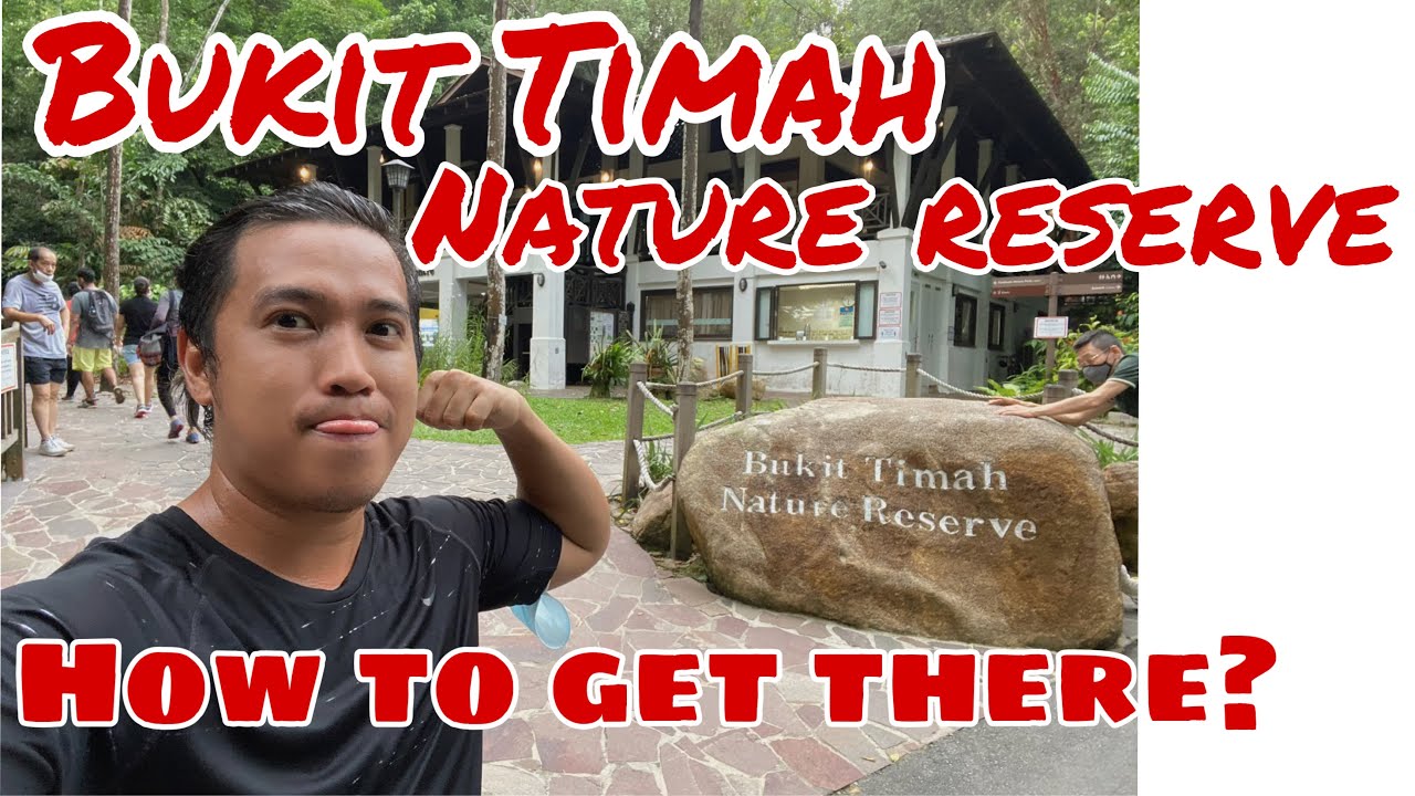 How to go to BUKIT TIMAH NATURE RESERVE? | (Singapore Travel Guide EP-4)
