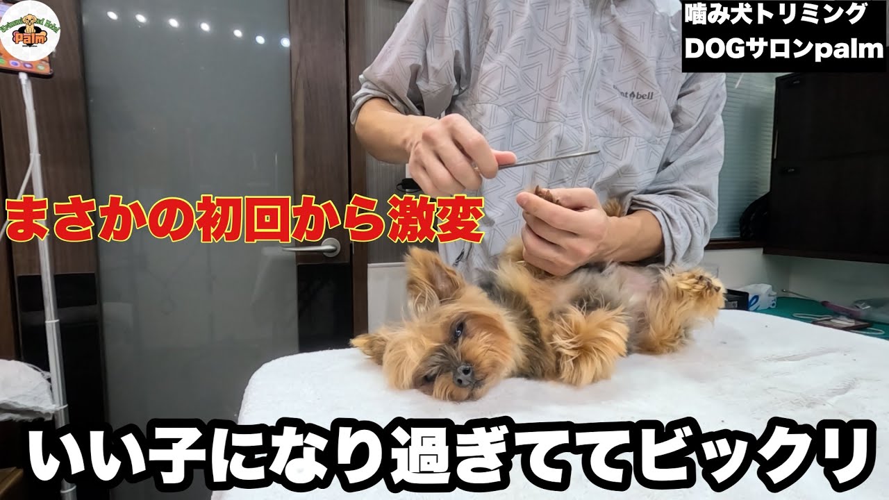 【3回目】初回はお顔カットで難航が3回目でお利口に