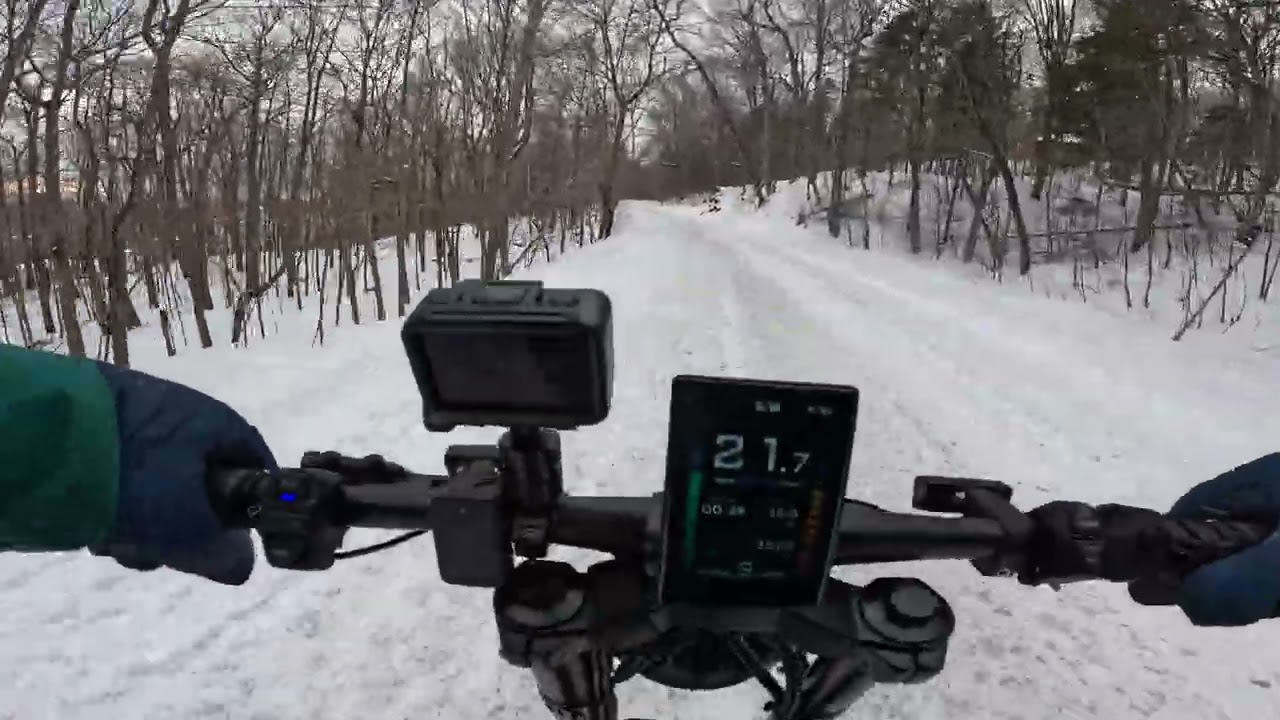 TGIF Winter Riding Off Road Up the Mont-Royal To Lac Des Castors On top Of The Mountain  4K
