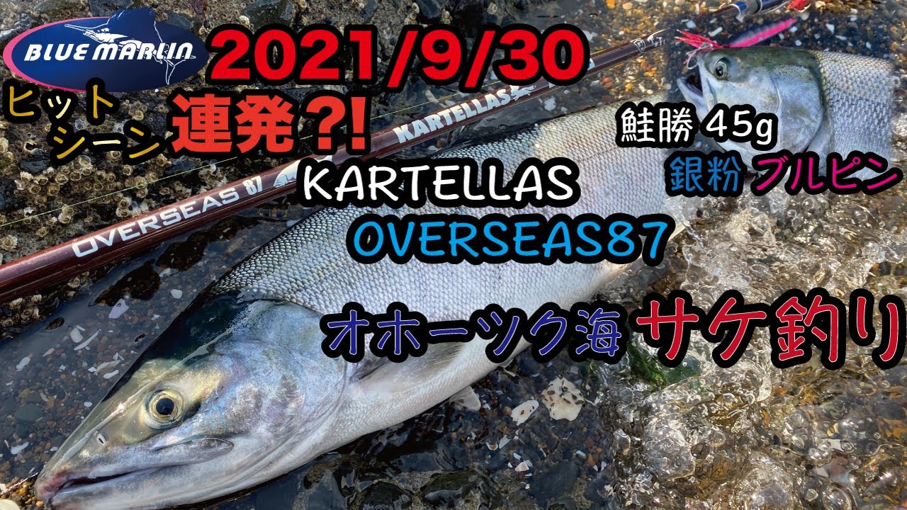 やっぱり鮭勝45g銀粉ブルピンは神だった。【2021年9月30日】【道東 オホーツク海 ウキルアー サケ釣り】