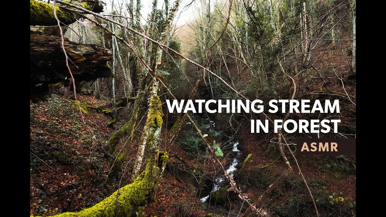 Watching Stream in Forest - ASMR