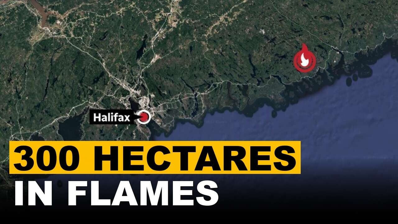 Nova Scotia Evacuation Ordered As Mooseland Road Wildfire Explodes