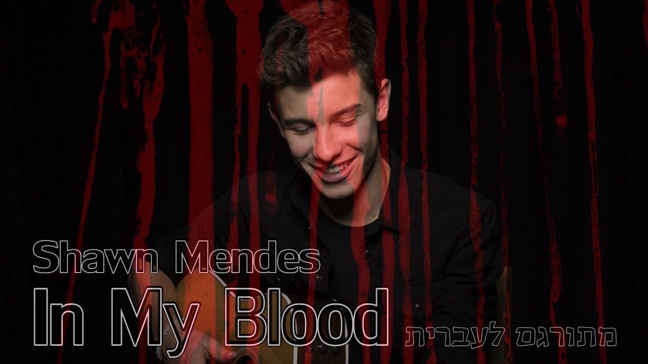 Shawn Mendes - In My Blood מתורגם לעברית