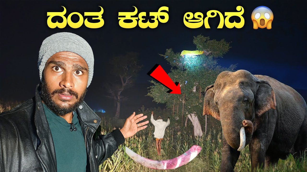 ರಾತ್ರಿ ಇಡೀ ದಾಳಿ ನೋಡಿ🐘😱 | Elephant Attack in Chamrajanagar | Avatar Shiva Official 