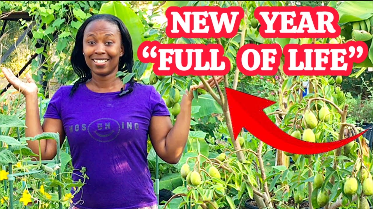 New Year Garden Tour 🌱 My Backyard Is Full of Life