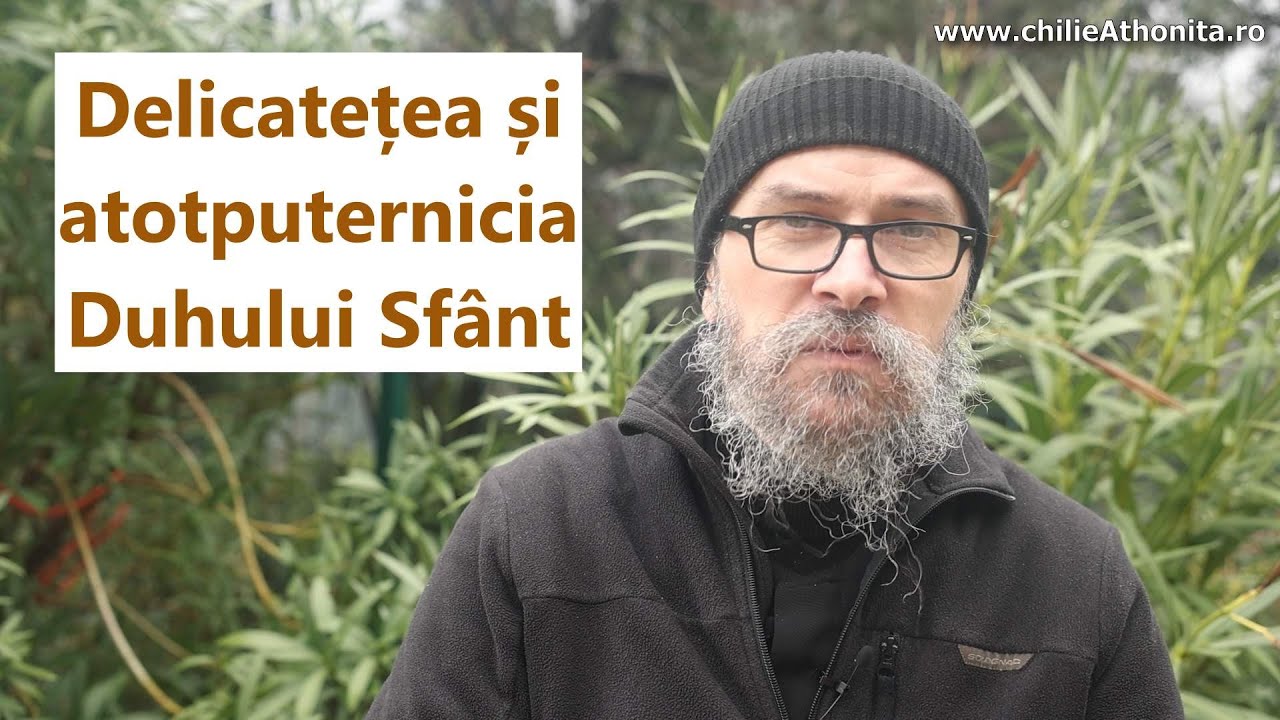 Delicatețea și atotputernicia Duhului Sfânt - p. Teologos