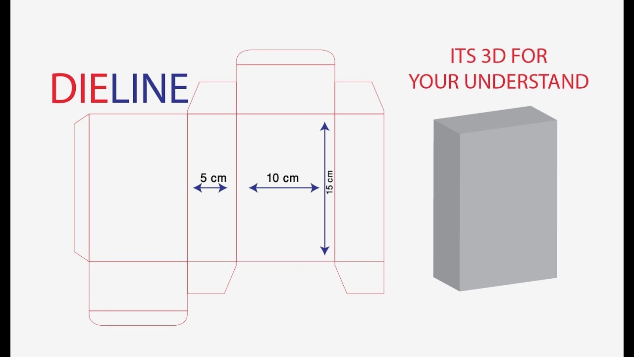 How to Make Dieline for Packaging Box