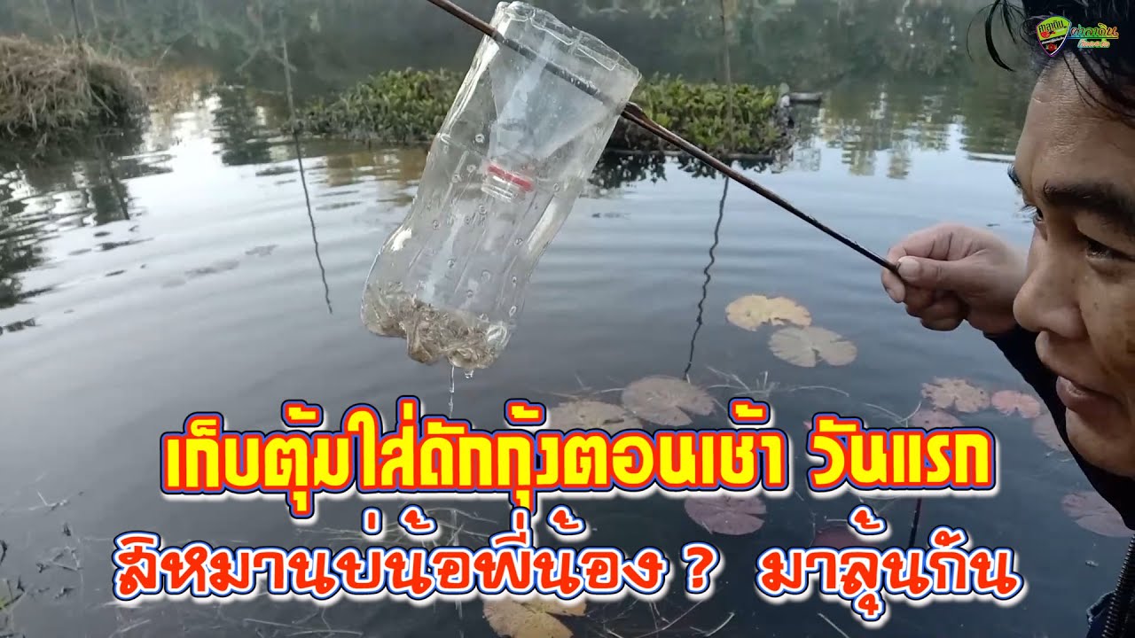 เก็บตุ้มใส่กุ้งตอนเช้า วันแรก สิหมานบ่น้อ? มาลุ้นกันครับ
