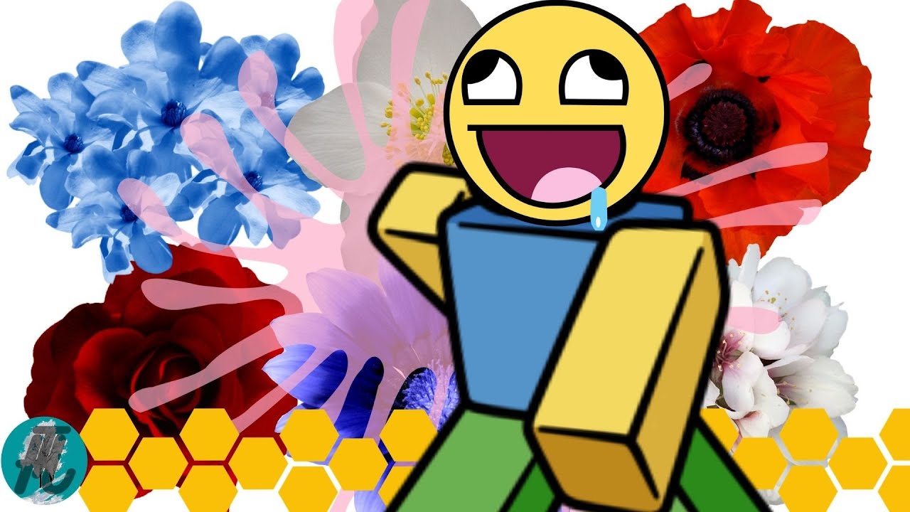 #4 NOOB à PRO ! MANGER MIIIEEEELLL ! (16 abeilles)