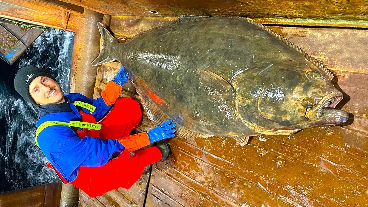 UNA SCUSA PER TORNARE! La Ricerca del Pesce DEI MIEI SOGNI! Pesca dell'Halibut in Artico Norvegese