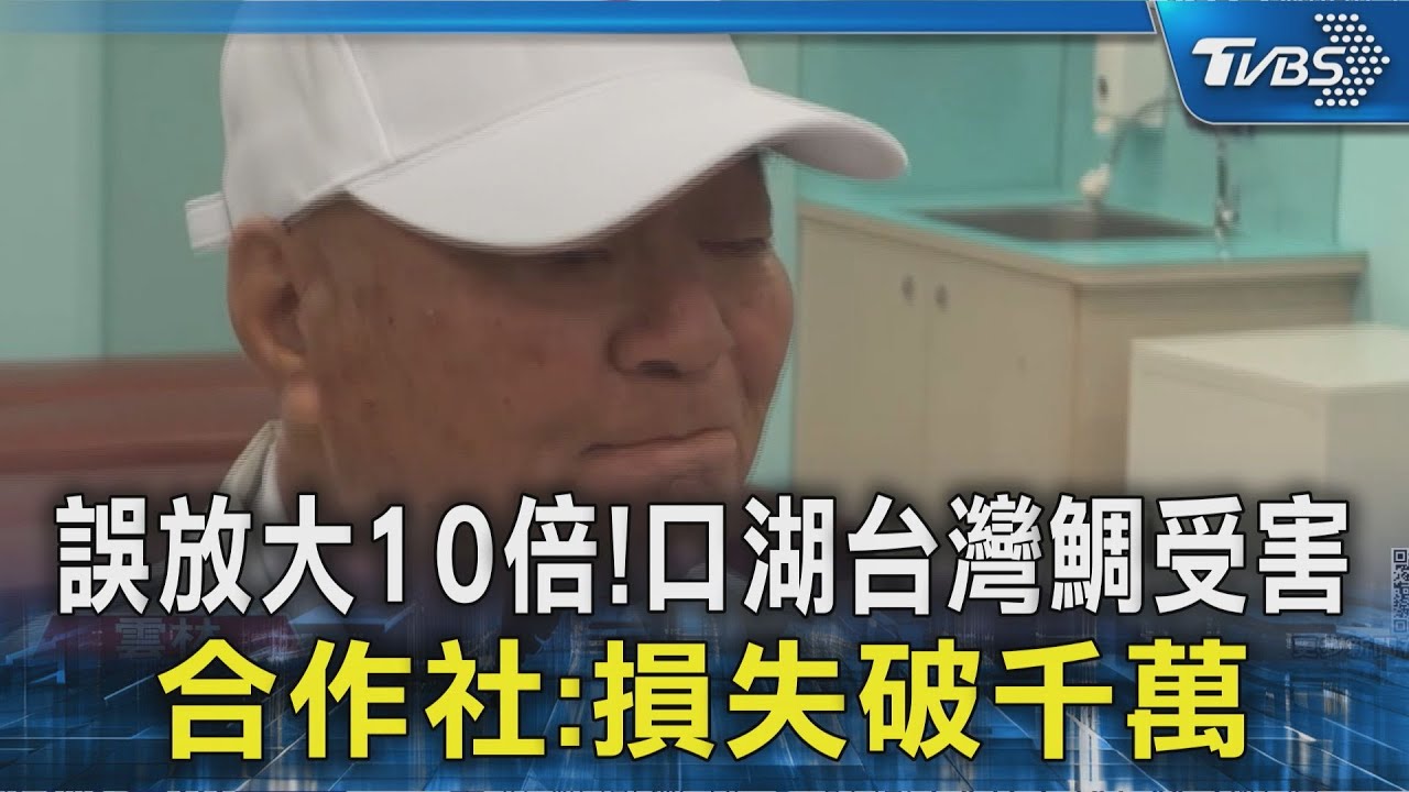 誤放大10倍!口湖台灣鯛受害 合作社:損失破千萬｜TVBS新聞 @TVBSNEWS02