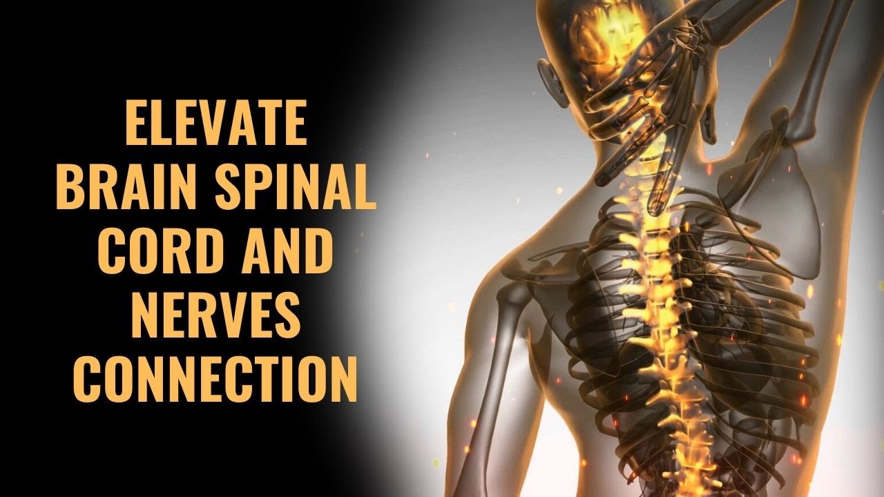 Spinal Cord Stimulator | Elevate Brain Spinal Cord and Nerves Connection | 432Hz Isochronic Tones