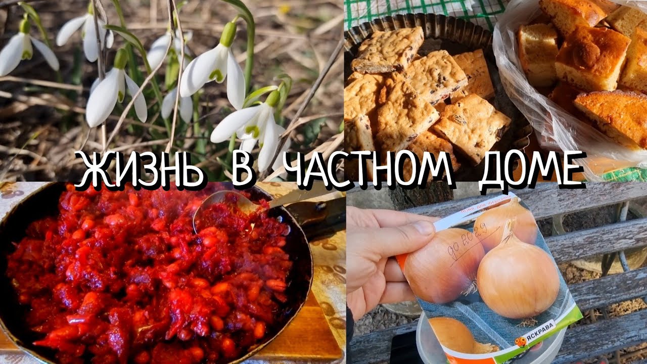 13 ХАРЬКОВСКАЯ Обл. прифронтовая. Пироги к чаю. СВЕКОЛЬНАЯ ИКРА. СУПЕР НАХОДКА! ЧТО ПОСЕЯЛА!