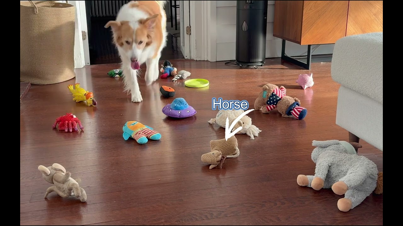 Testing her toys by a sound vs saying their name.
