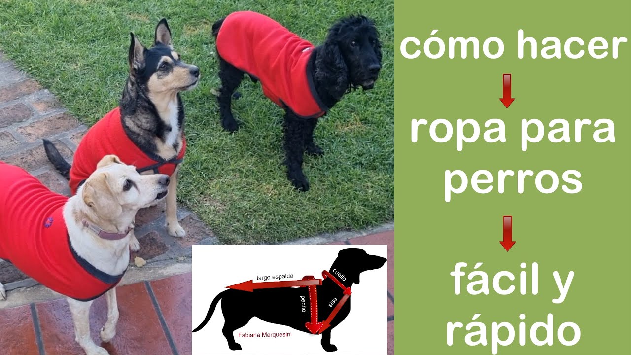 Cómo hacer ROPA PARA MASCOTA. FÁCIL Y RÁPIDO - Fabiana Marquesini - 447