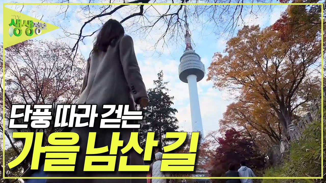 단풍 따라 편안하게 걷는 남산 숲길 [2TV 생생정보] KBS 251114 방송
