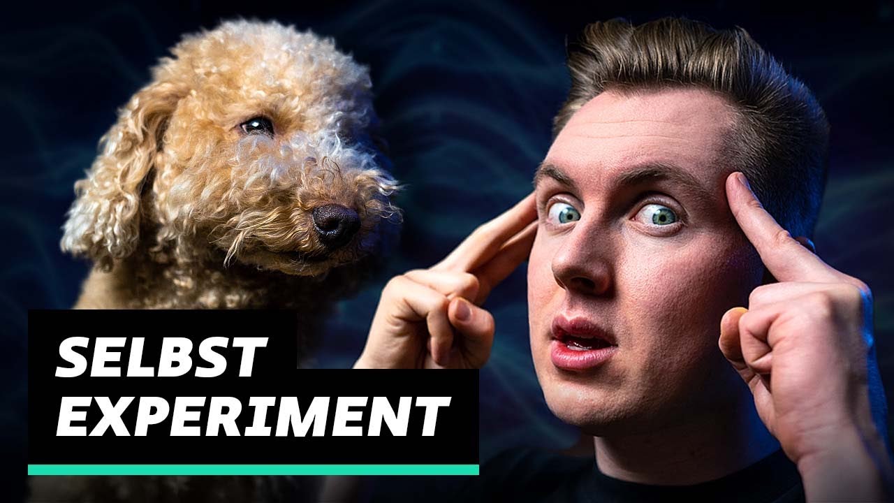 Das kuriose Geschäft mit der Tierkommunikation