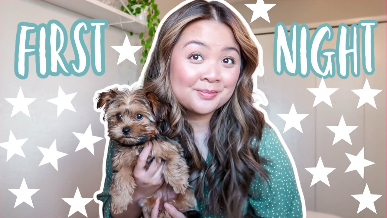★ FIRST NIGHT WITH A NEW PUPPY TIPS ★ | DOG VLOG