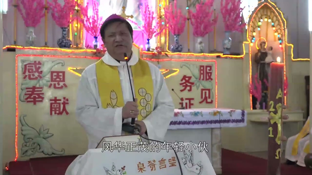 《寻根》简体字幕版