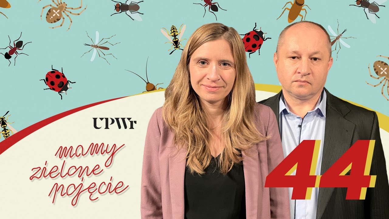 Dlaczego owady są ważne dla świata? | Odcinek #44 | Mamy zielone pojęcie
